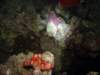 dsc05880_small.jpg