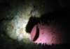 dsc05890_small.jpg