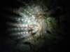 dsc05893_small.jpg