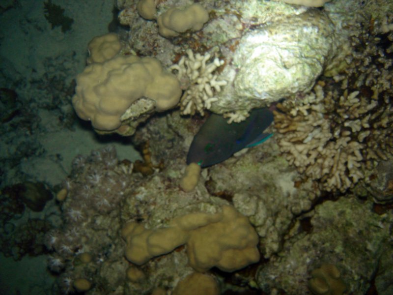 dsc05895.jpg