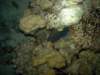dsc05895_small.jpg