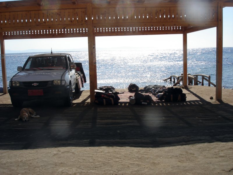 dsc05900.jpg