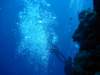 dsc05904_small.jpg