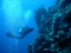 dsc05906_small.jpg
