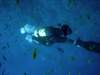 dsc05908_small.jpg