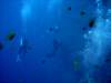 dsc05909_small.jpg