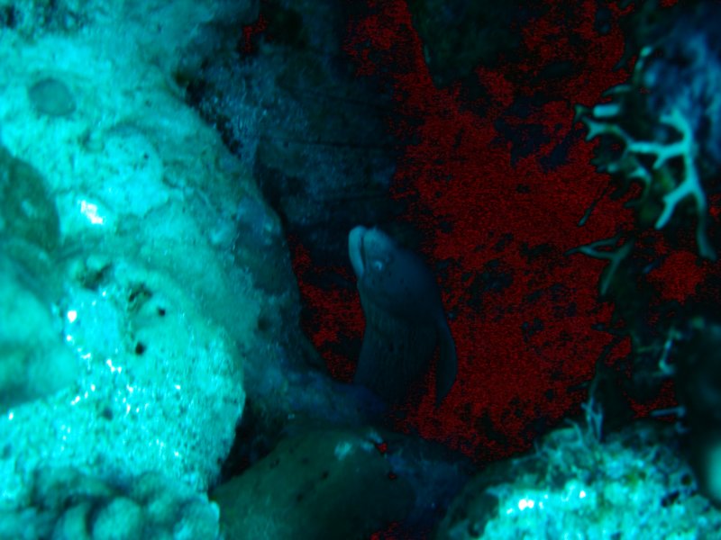 dsc05911.jpg