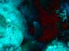 dsc05911_small.jpg