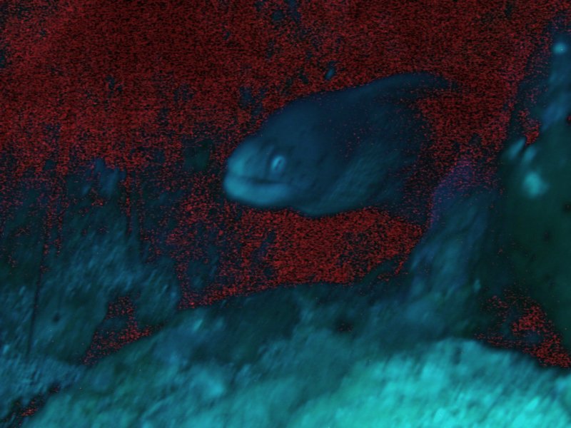 dsc05913.jpg