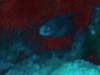 dsc05913_small.jpg