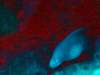 dsc05916_small.jpg