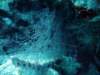 dsc05917_small.jpg