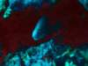 dsc05921_small.jpg