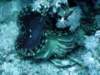 dsc05926_small.jpg
