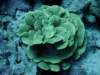dsc05927_small.jpg