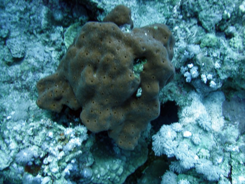 dsc05928.jpg