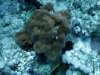 dsc05928_small.jpg