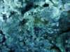 dsc05937_small.jpg