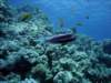 dsc05938_small.jpg