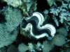 dsc05939_small.jpg