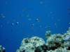 dsc05940_small.jpg