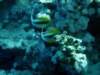 dsc05941_small.jpg