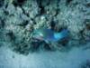 dsc05942_small.jpg