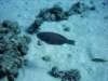 dsc05943_small.jpg