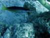 dsc05945_small.jpg