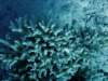 dsc05946_small.jpg