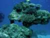 dsc05947_small.jpg
