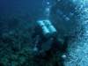 dsc05949_small.jpg