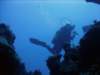 dsc05963_small.jpg