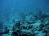 dsc05964_small.jpg