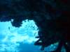dsc05965_small.jpg