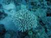dsc05967_small.jpg