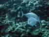 dsc05968_small.jpg