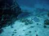 dsc05969_small.jpg