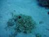 dsc05970_small.jpg