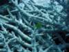 dsc05971_small.jpg