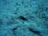 dsc05973_small.jpg
