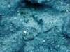 dsc05974_small.jpg