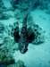 dsc05996_small.jpg