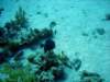 dsc05997_small.jpg