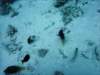 dsc05999_small.jpg