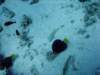 dsc06000_small.jpg