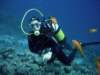 dsc06010_small.jpg