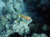 dsc06011_small.jpg