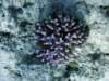 dsc06016_small.jpg