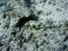 dsc06017_small.jpg